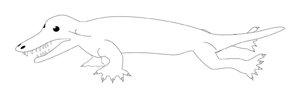 Ambulocetus