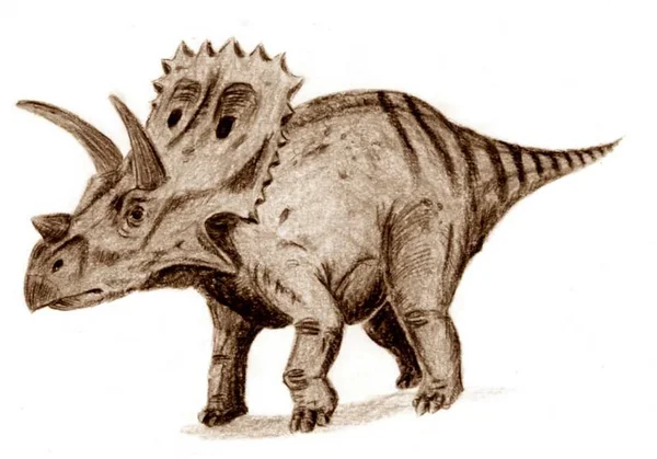 Arrhinoceratops
