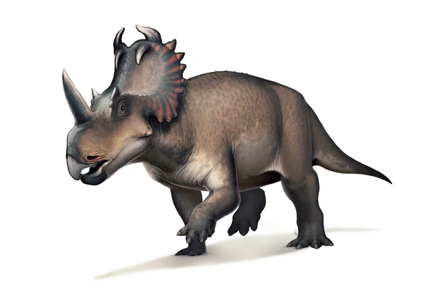 Centrosaurus