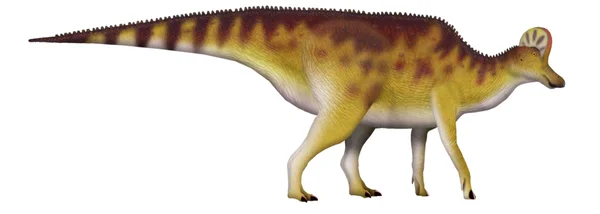 Corythosaurus