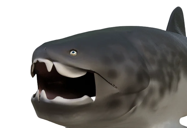 Dunkleosteus