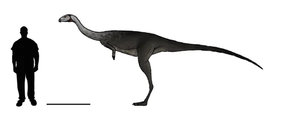 Elaphrosaurus