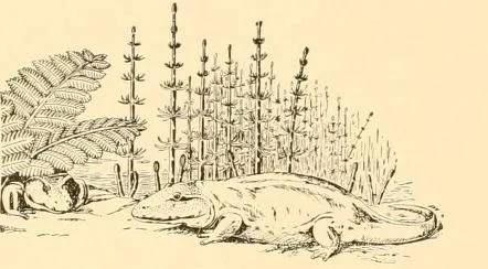Eryops