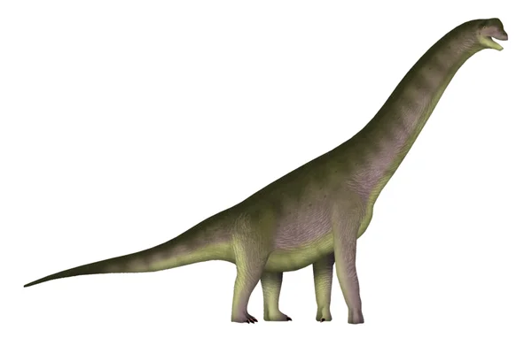 Europasaurus