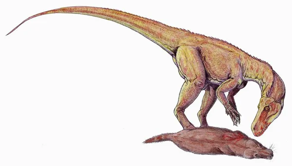Herrerasaurus