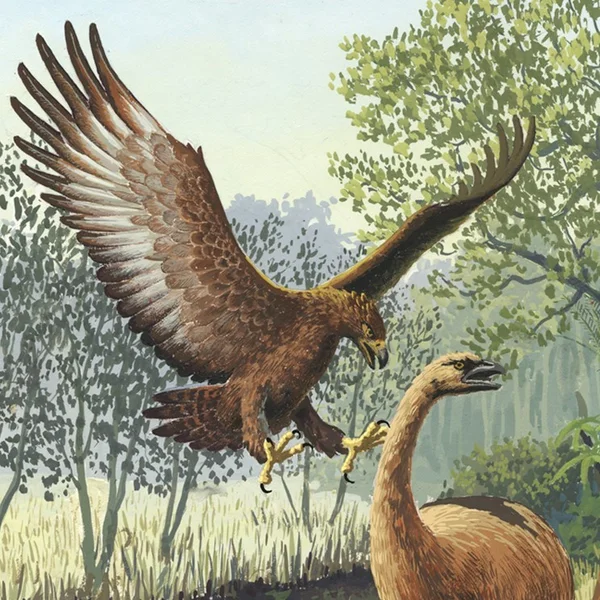 Haast's Eagle