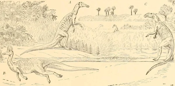 Kritosaurus