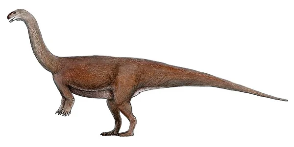 Lufengosaurus