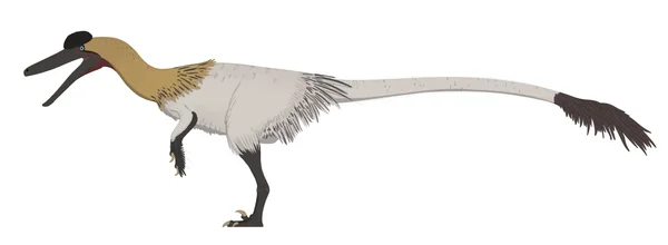 Microdontosaurus