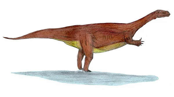 Mussaurus