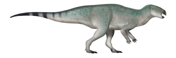 Onychosaurus