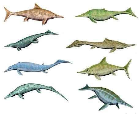 Ophthalmosaurus
