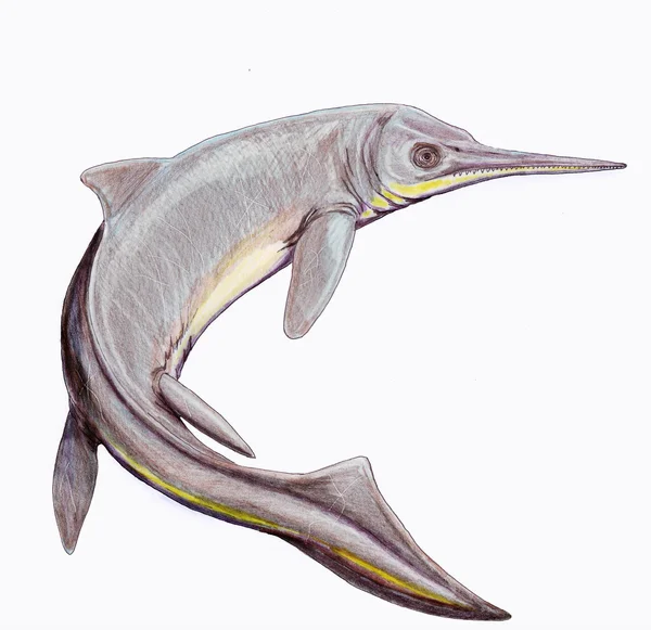 Phalarodon