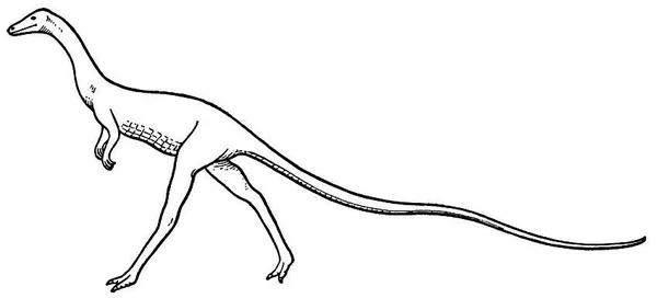 Podokesaurus