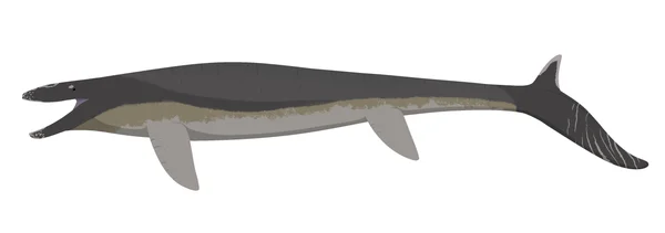 Prognathodon
