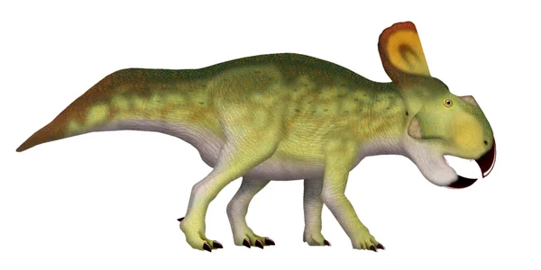 Protoceratops