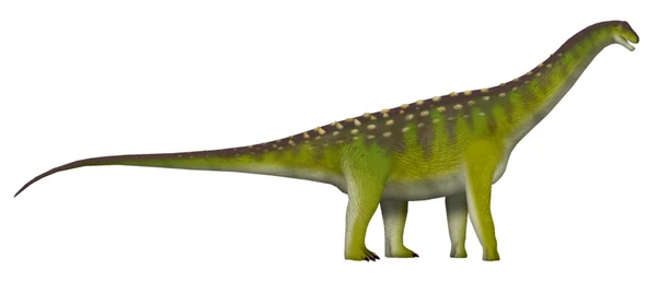 Saltasaurus