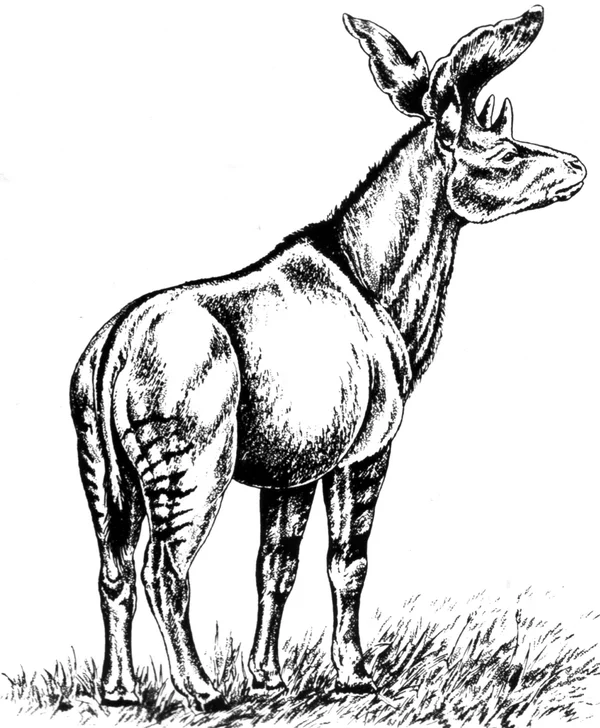 Sivatherium