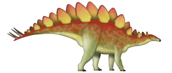 Stegosaurus
