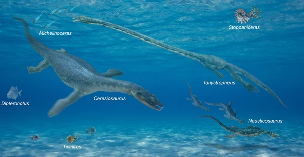 Tanystropheus